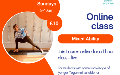 New class – Online!